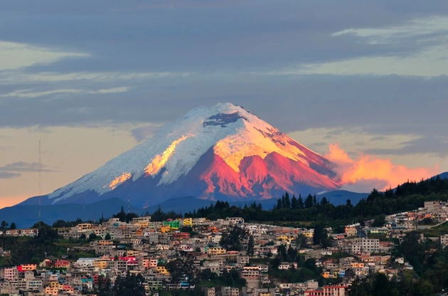 Mandatory Online Customs Form in Ecuador